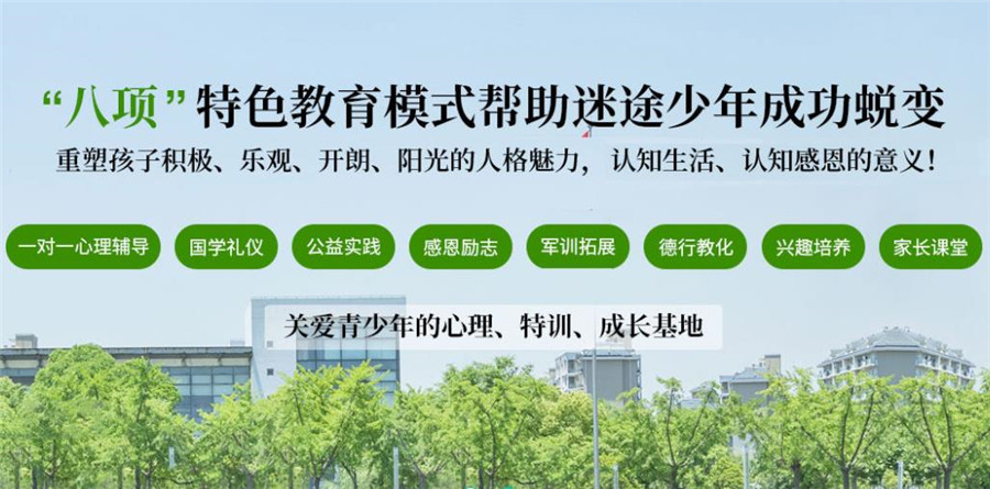 2025年：揭秘戒網(wǎng)癮學(xué)校合法性及名人背后的故事