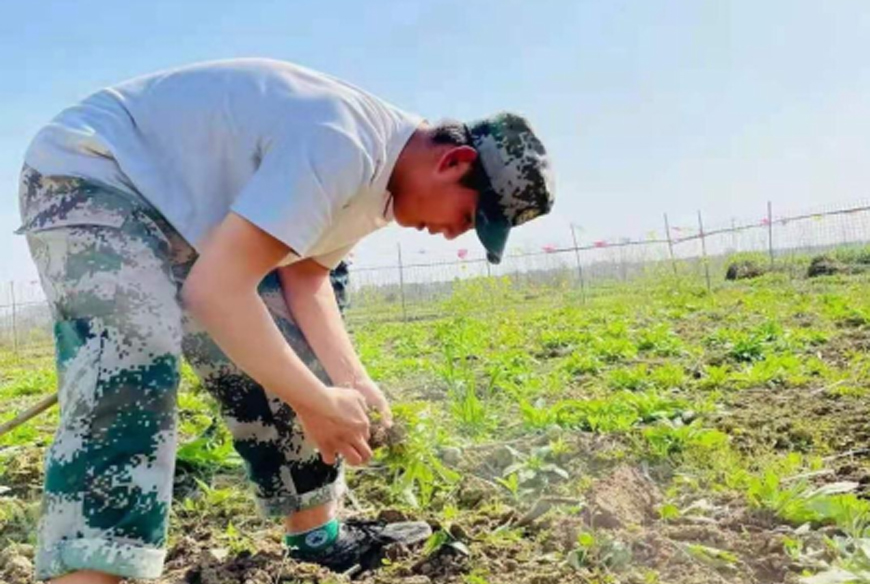 免費觀看2025年恐怖叛逆學校動漫：校園恐怖之旅的震撼體驗